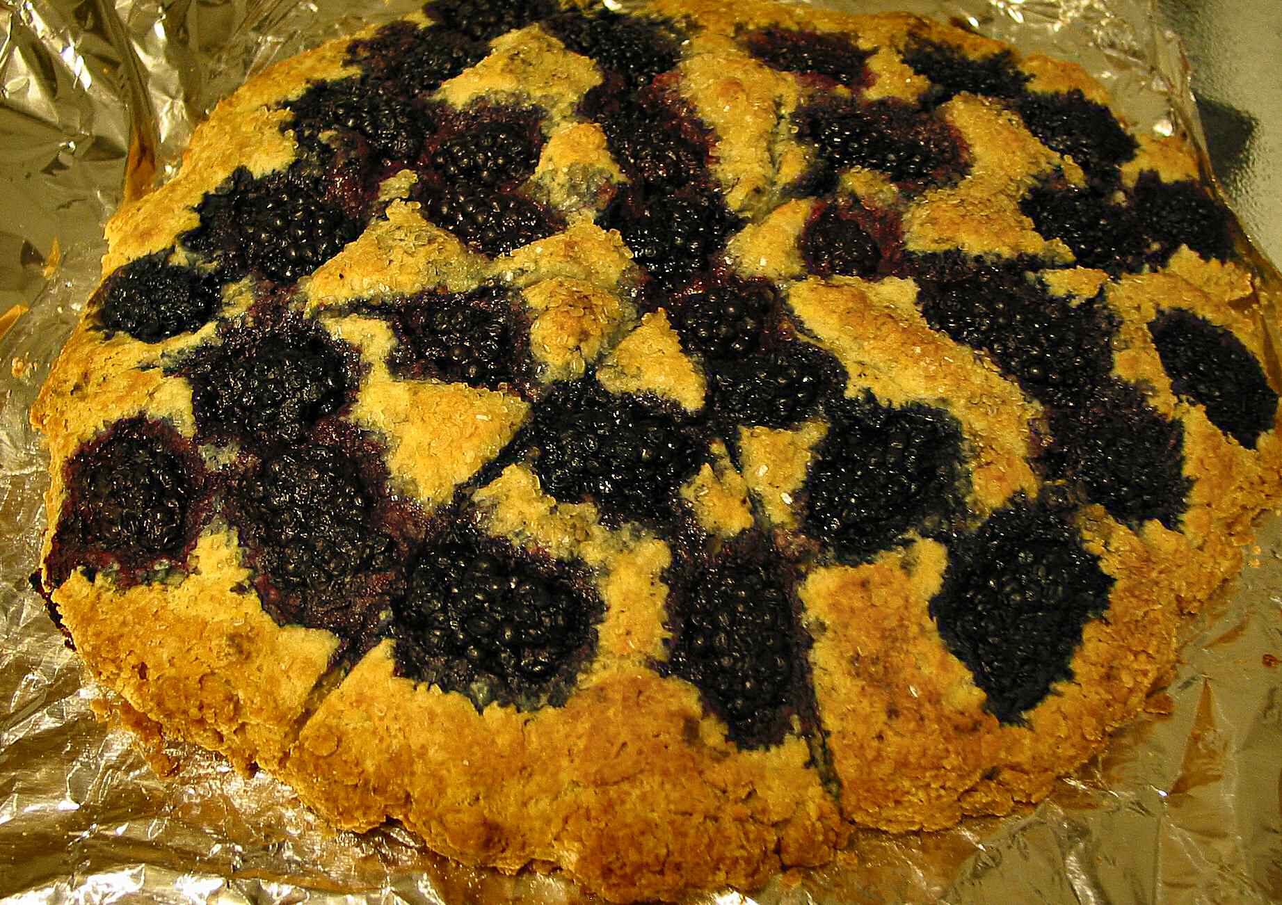 blackberryscones Blackberry scones for brunch