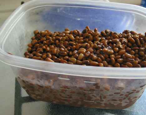 Cooked cowpeas
