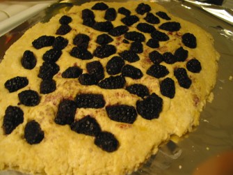 Frozen blackberries pressed in