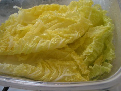 Microwaved cabbage leaves, ready for rolling