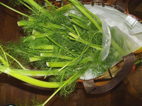 too much fennel from the greengrocer's