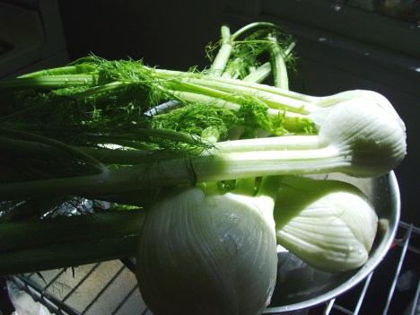 way too much fennel for one salad bowl