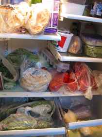 Stuffed fridge right before traveling