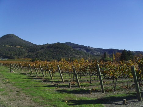 Sonoma-Kenwood.jpg