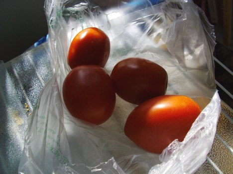 ripening roma tomatoes