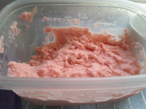 snaplock container of watermelon sherbet